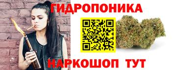 дмт Обь