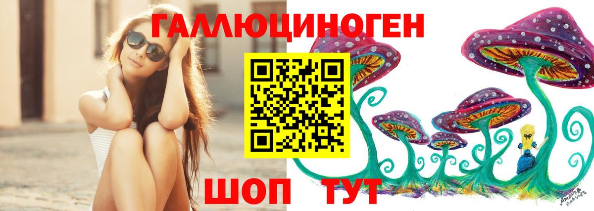 Галлюциногенные грибы Psilocybe  Вход с VPN  Якутск 